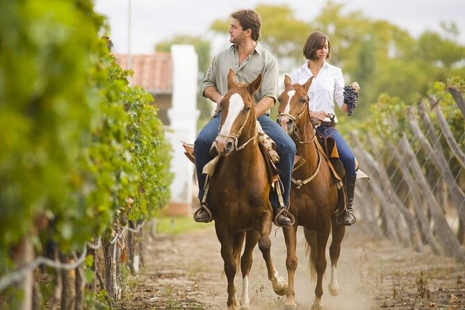 Horse Riding in Argentina