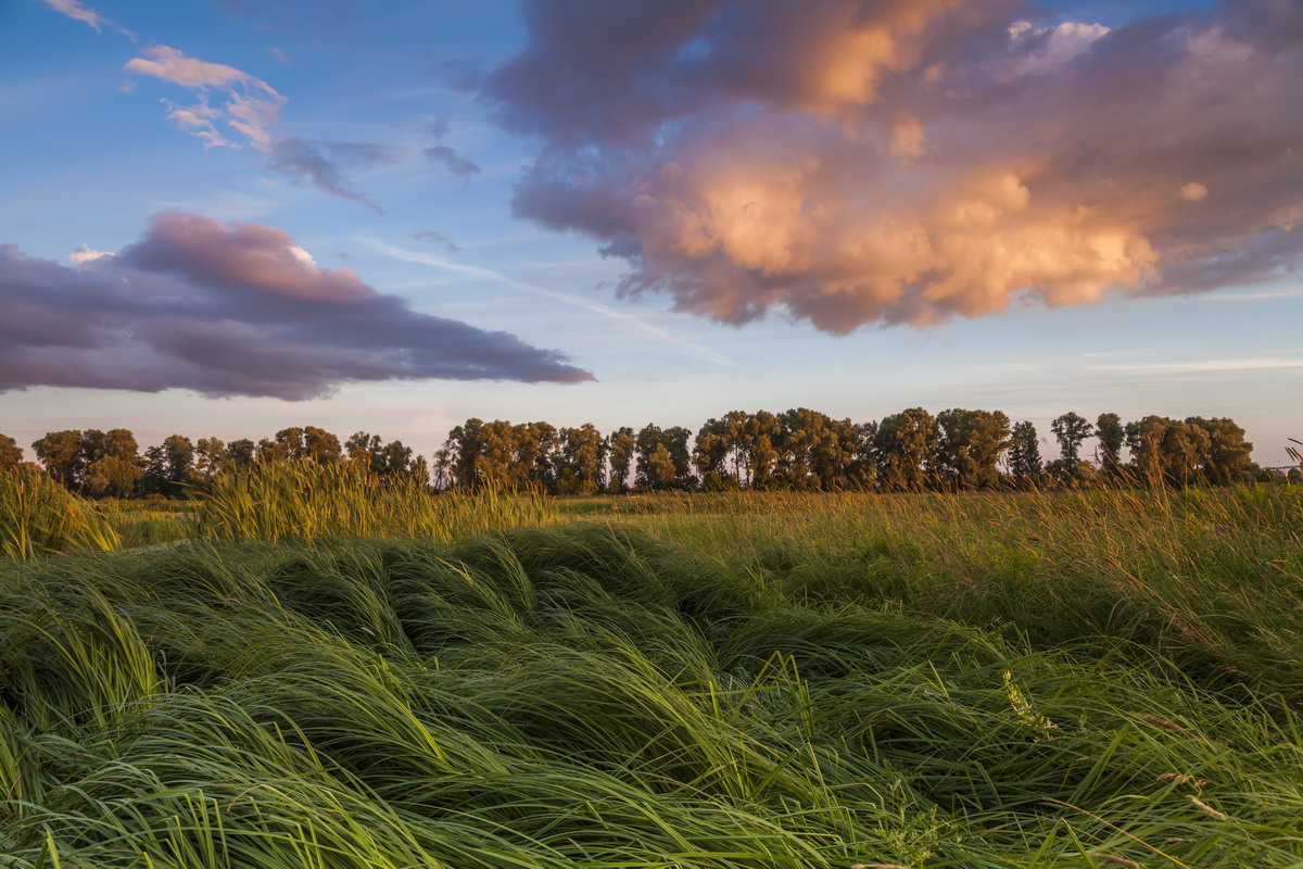 la pampa argentina