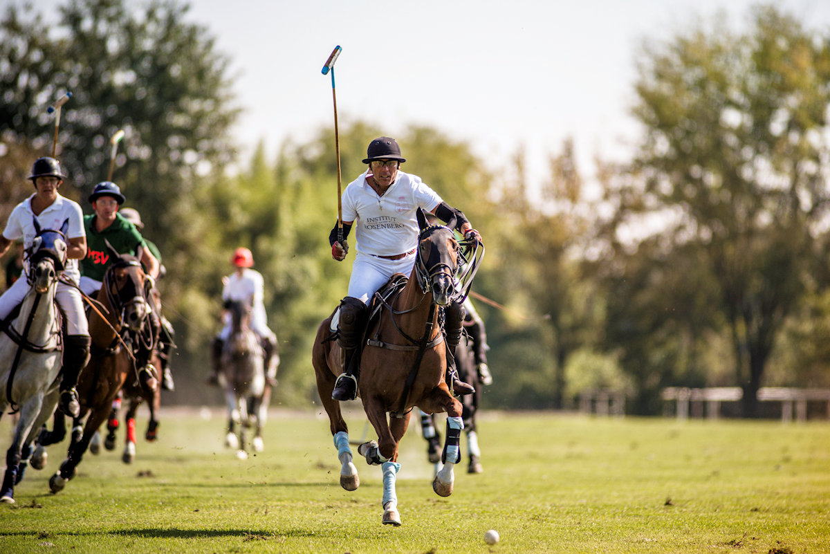Polo Experience