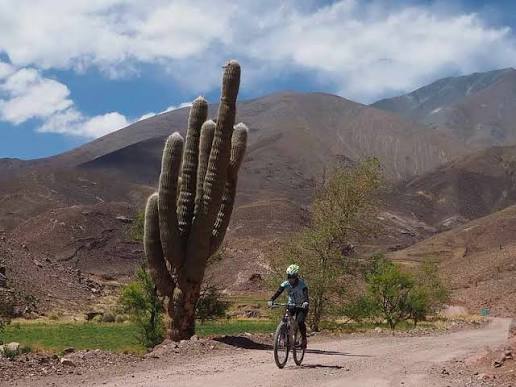 Trekking Hiking Bike