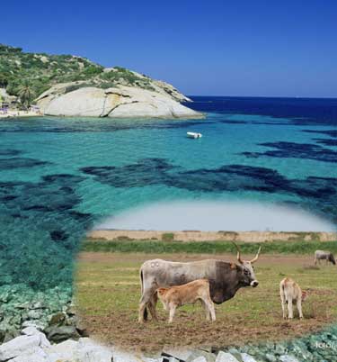 Visit Maremma